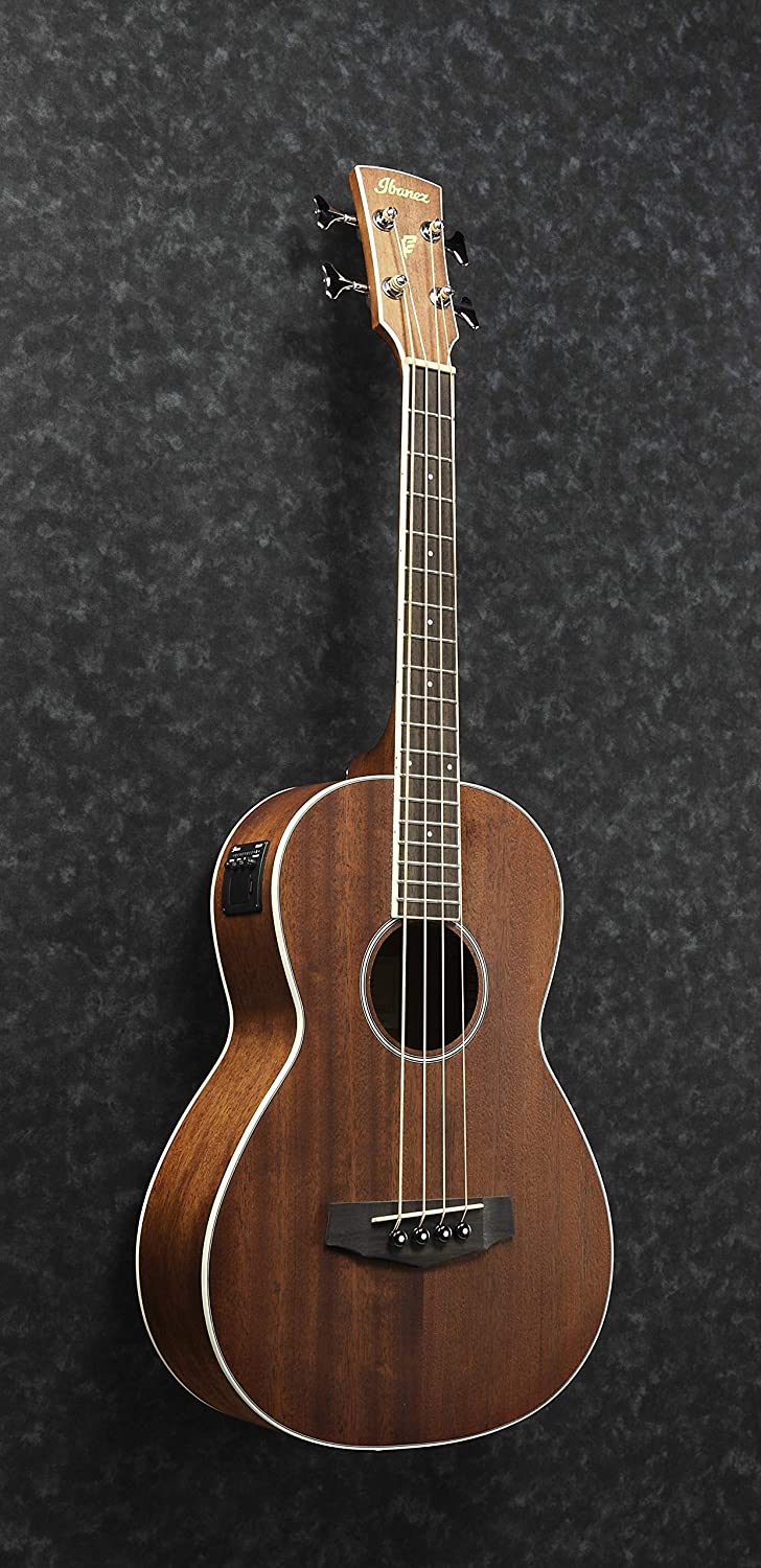 Ibanez PNB14E OPN AcousticElectric Bass Guitar Basguitar Allround