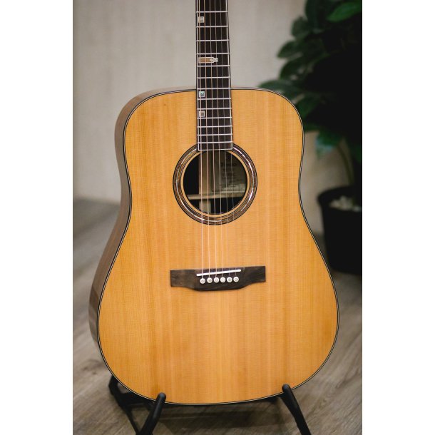 Fonzo V-201C Dreadnought Full Body