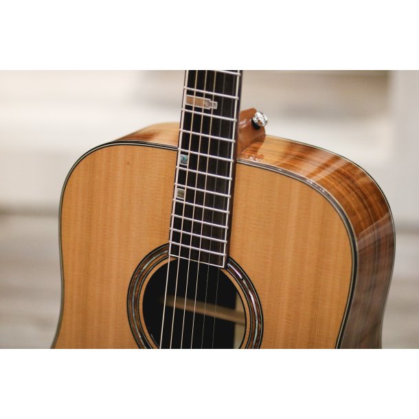 Fonzo V-201C Dreadnought Full Body