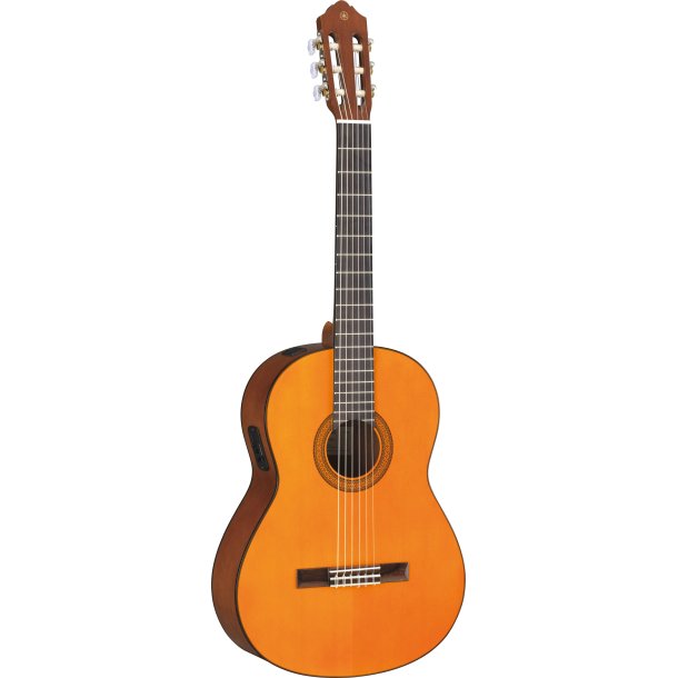 Yamaha CGX102
