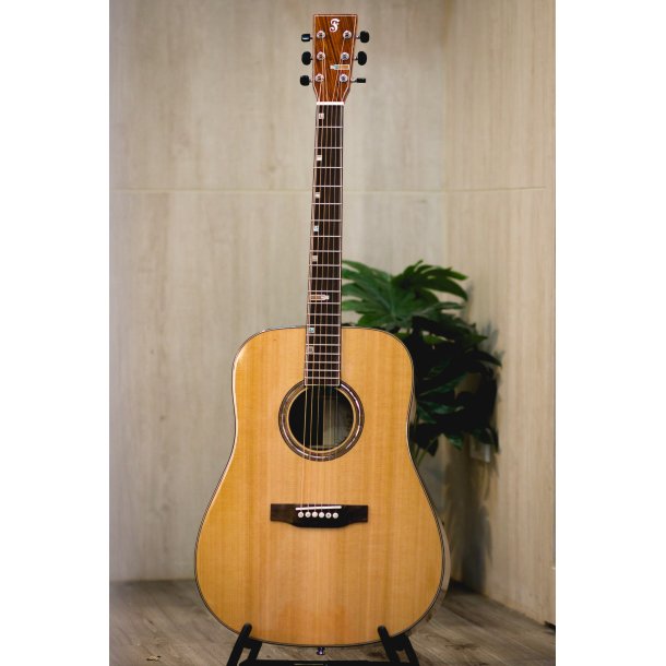 Fonzo V-201C Dreadnought Full Body