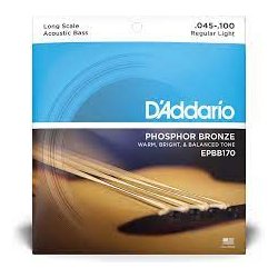 D'Addario EPBB170