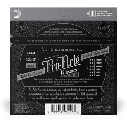 D'Addario EJ30