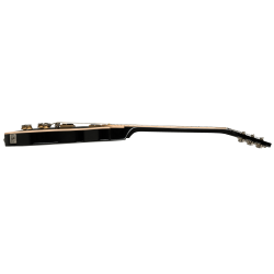 Gibson Les Paul Classic Ebony