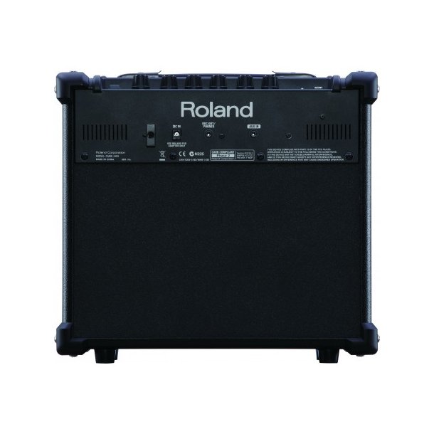 Roland Cube-10GX
