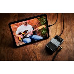 Boss IR-2 Amp &amp; Cabinet