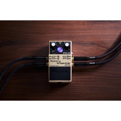 Boss RT-2 Rotary Ensemble