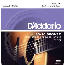 D'Addario EJ13