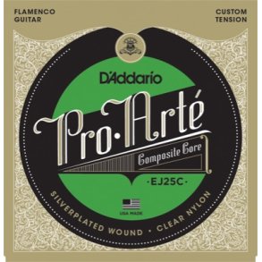 D'Addario EJ25C