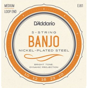 D'Addario EJ61