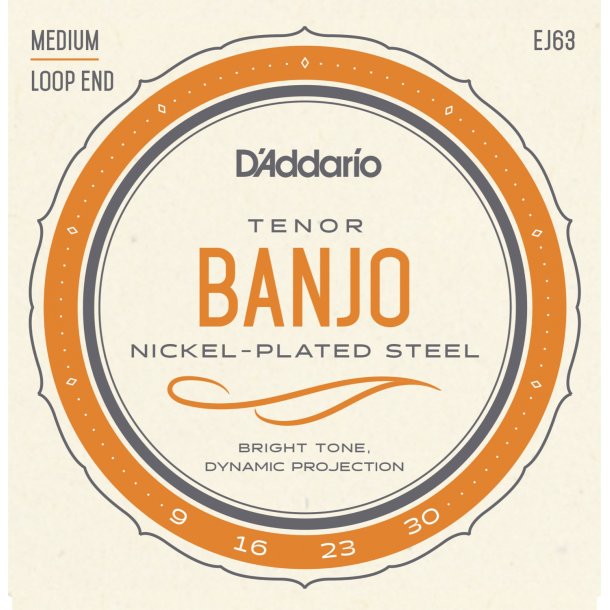 D'Addario EJ63