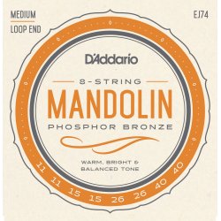 D'Addario Fretted EJ74 Mandolin Strenge
