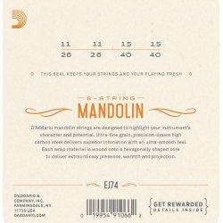 D'Addario Fretted EJ74 Mandolin Strenge