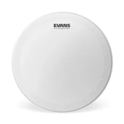 Evans B14DRY