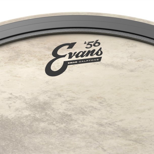 Evans BD22EMADCT 22"