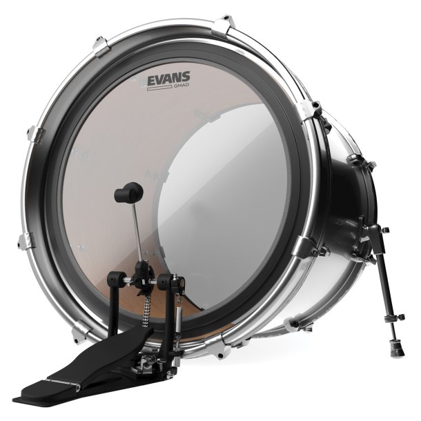 Evans BD24GMAD 24"