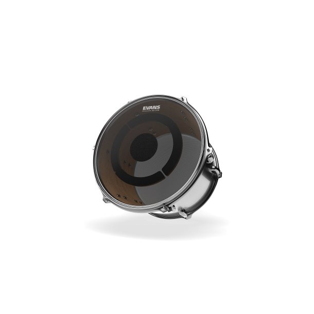 Evans TT10 dB ONE Tamskind