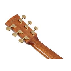Ibanez AC391RCE-BKH