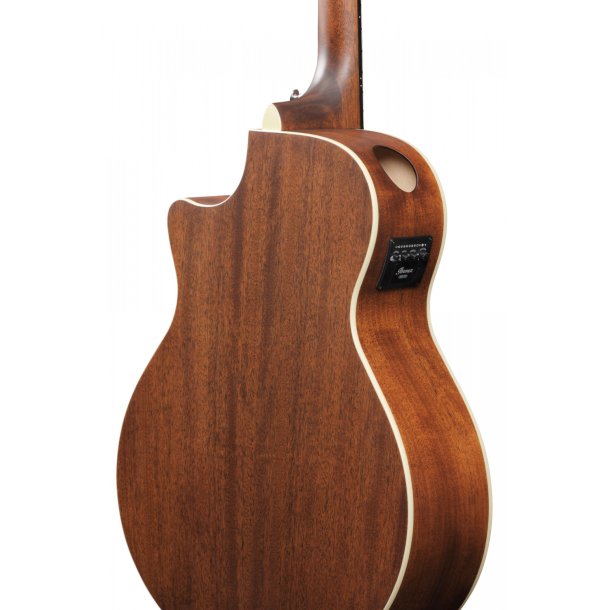 Ibanez AE100-BUF