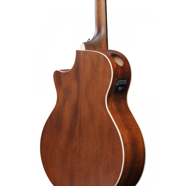 Ibanez AE140-WKH