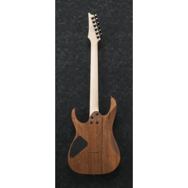 Ibanez RG421-MOL