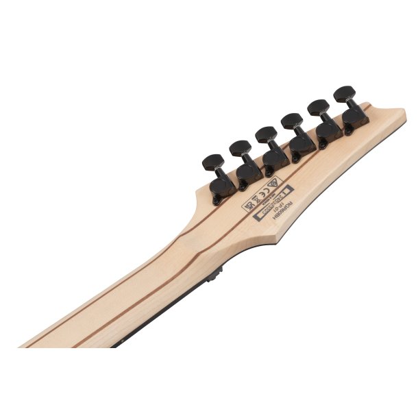 Ibanez RGR6BSP-IPT Elguitar, RG Reverse, Limited spot