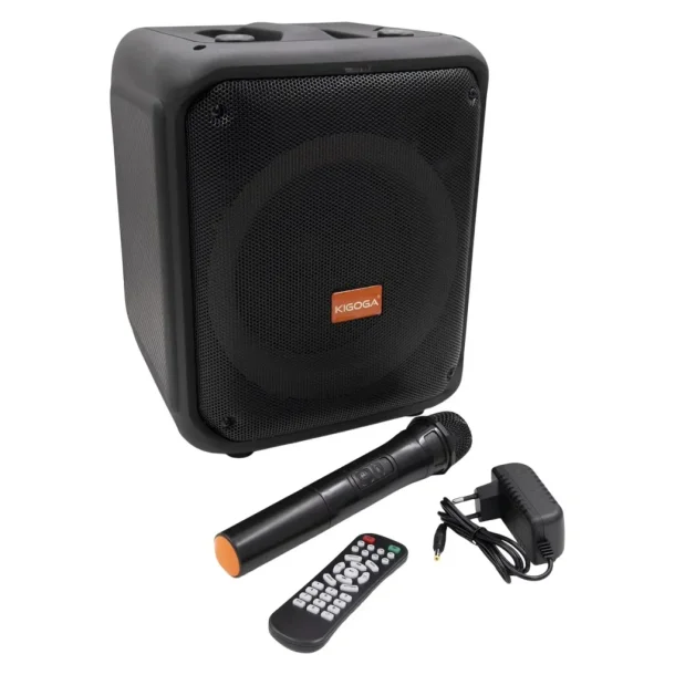 Kigoga A-8013 active speaker with wireless microphone