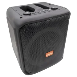 Kigoga A-8013 active speaker with wireless microphone