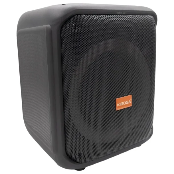Kigoga A-8013 active speaker with wireless microphone