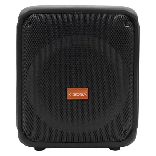 Kigoga A-8013 active speaker with wireless microphone