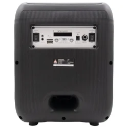 Kigoga A-8013 active speaker with wireless microphone