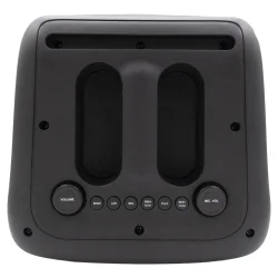 Kigoga A-8013 active speaker with wireless microphone