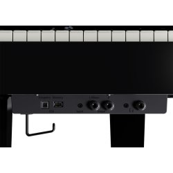 Roland GP-6 Blank Sort Digital Flygel