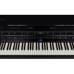 Roland GP-6 Blank Sort Digital Flygel