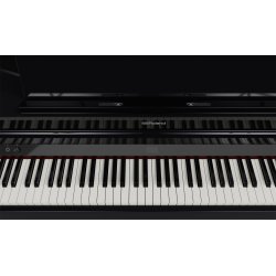 Roland GP-6 Blank Sort Digital Flygel