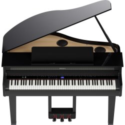 Roland GP-6 Blank Sort Digital Flygel