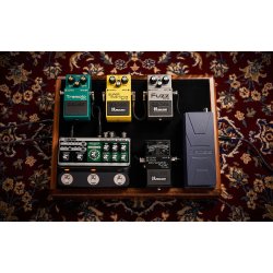 Boss RE-202 Space Echo