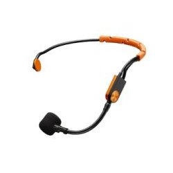 Shure SM31FH-TQG Fitness Headset 