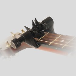 Spider Capo Mini