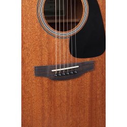 Takamine GD11M-NS