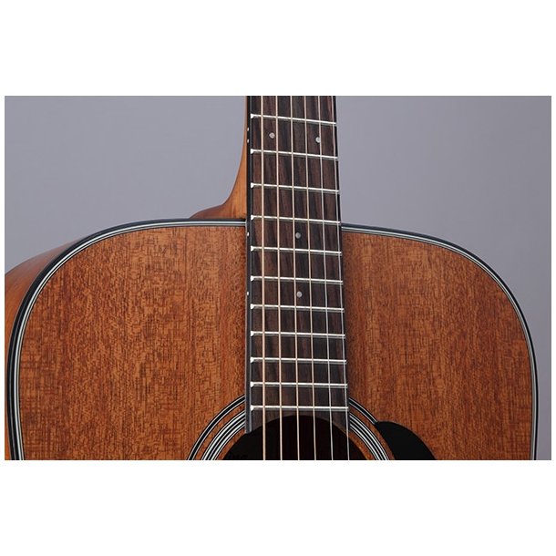 Takamine GD11M-NS