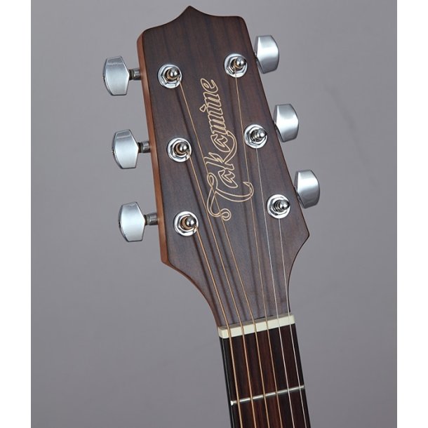 Takamine GD11M-NS