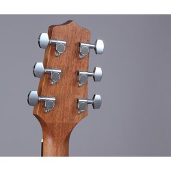 Takamine GD11M-NS