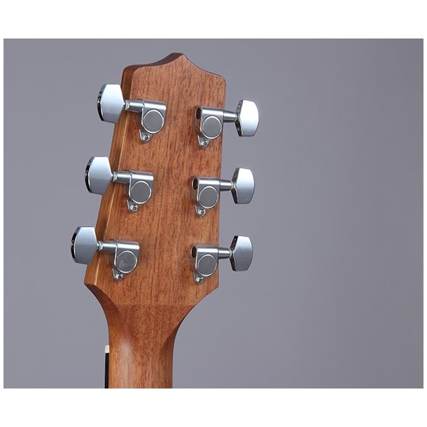 Takamine GD11M-NS