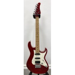 (USED) Cort G250DX G-series