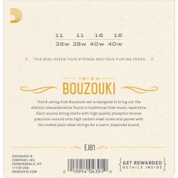 D'Addario EJ81, Strenges�t Irish Bouzouki Phosphor Bronze 011-040