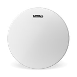 Evans G12 Coated B12G12. 12" Coated