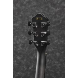 Ibanez AEWC400-TKS