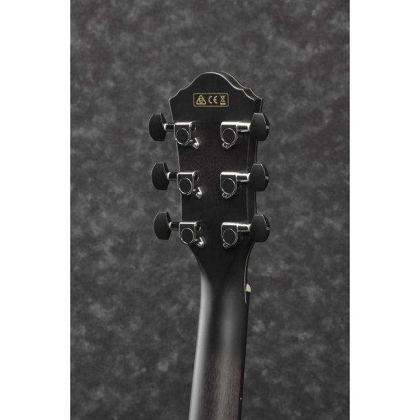 Ibanez AEWC400-TKS