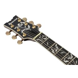 Ibanez AR625FMSP-CML (Caramel Burst Low Gloss)